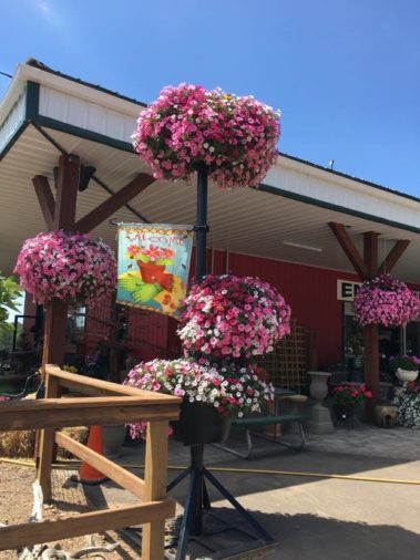 About - A+ Garden Center 