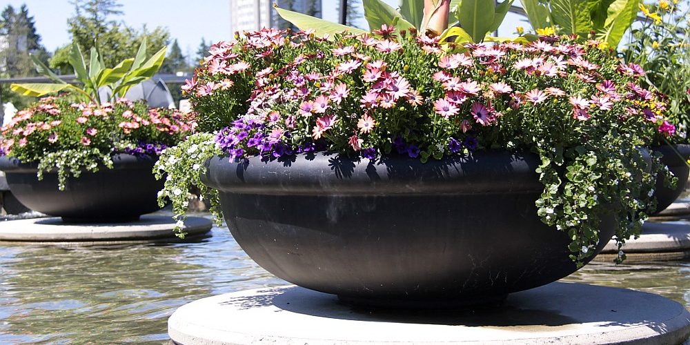 Container gardening: steps and ideas for making a container garden