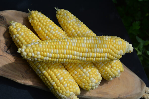 Corn, Chubby Checkers
