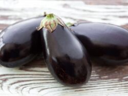 Eggplant, Black Beauty