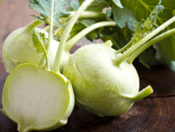 Kohlrabi