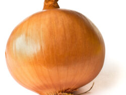 Onion, Yellow
