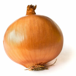 Onion, Yellow