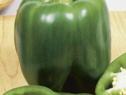 Pepper, Sweet Better Bell