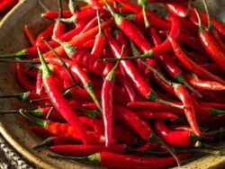 Pepper, Hot Thai