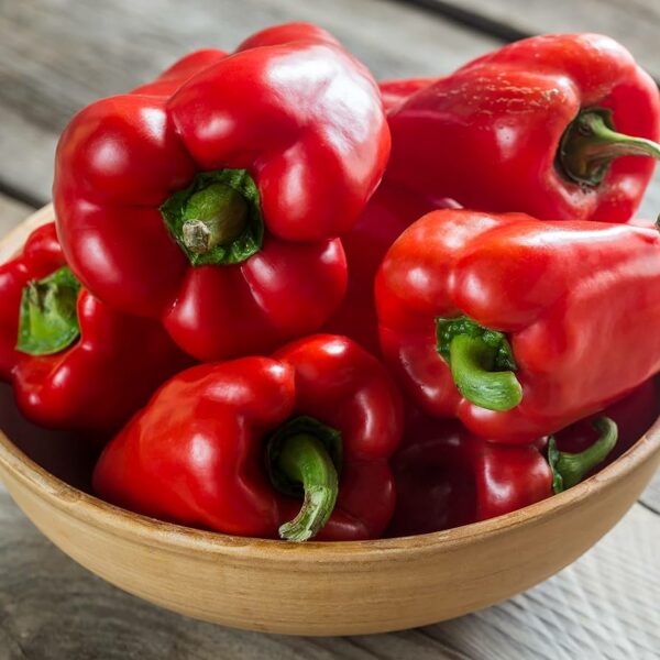 Pepper, Sweet  Red Beauty