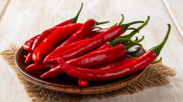 Pepper, Hot Crushed Red Pepper Flakes