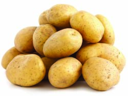 Potato, Dakota Pearl