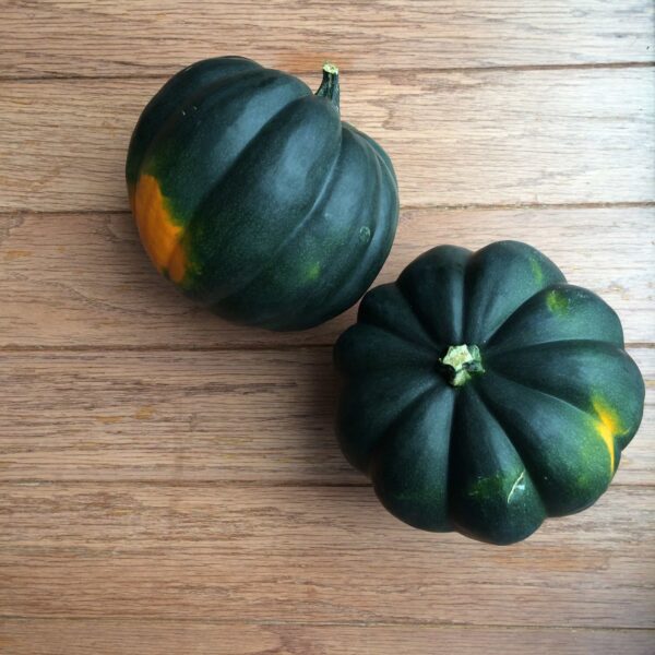 Squash, Acorn