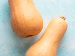 Squash, Butternut