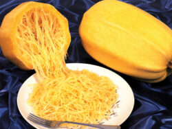 Squash, Spaghetti