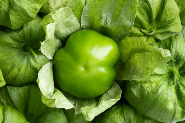 Tomatillo