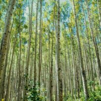 evan-wise-UcOmfw_eSTw-unsplash