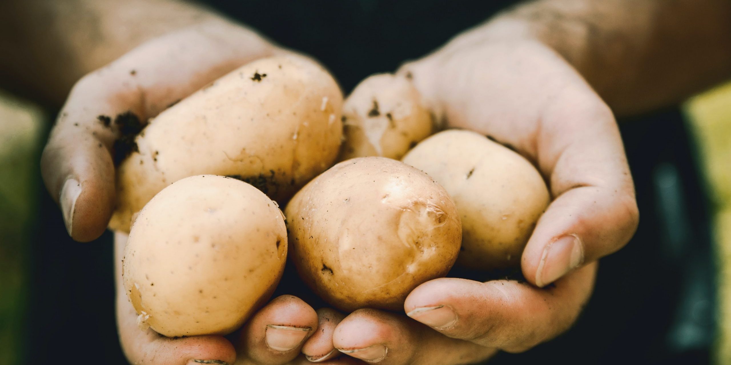 jeshoots-com-fp1x-X7DwDs-unsplash