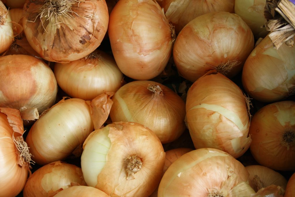 HOW TO PLANT AN ONION SEED