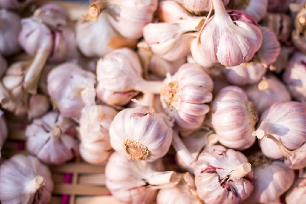 HOW TO PLANT A GARLIC SEED