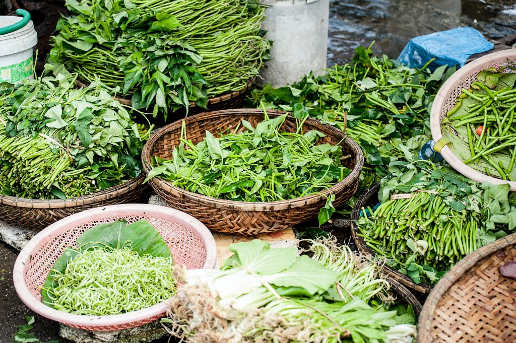 EIGHT TIPS TO SUCCESSFULLY GROW HERBS