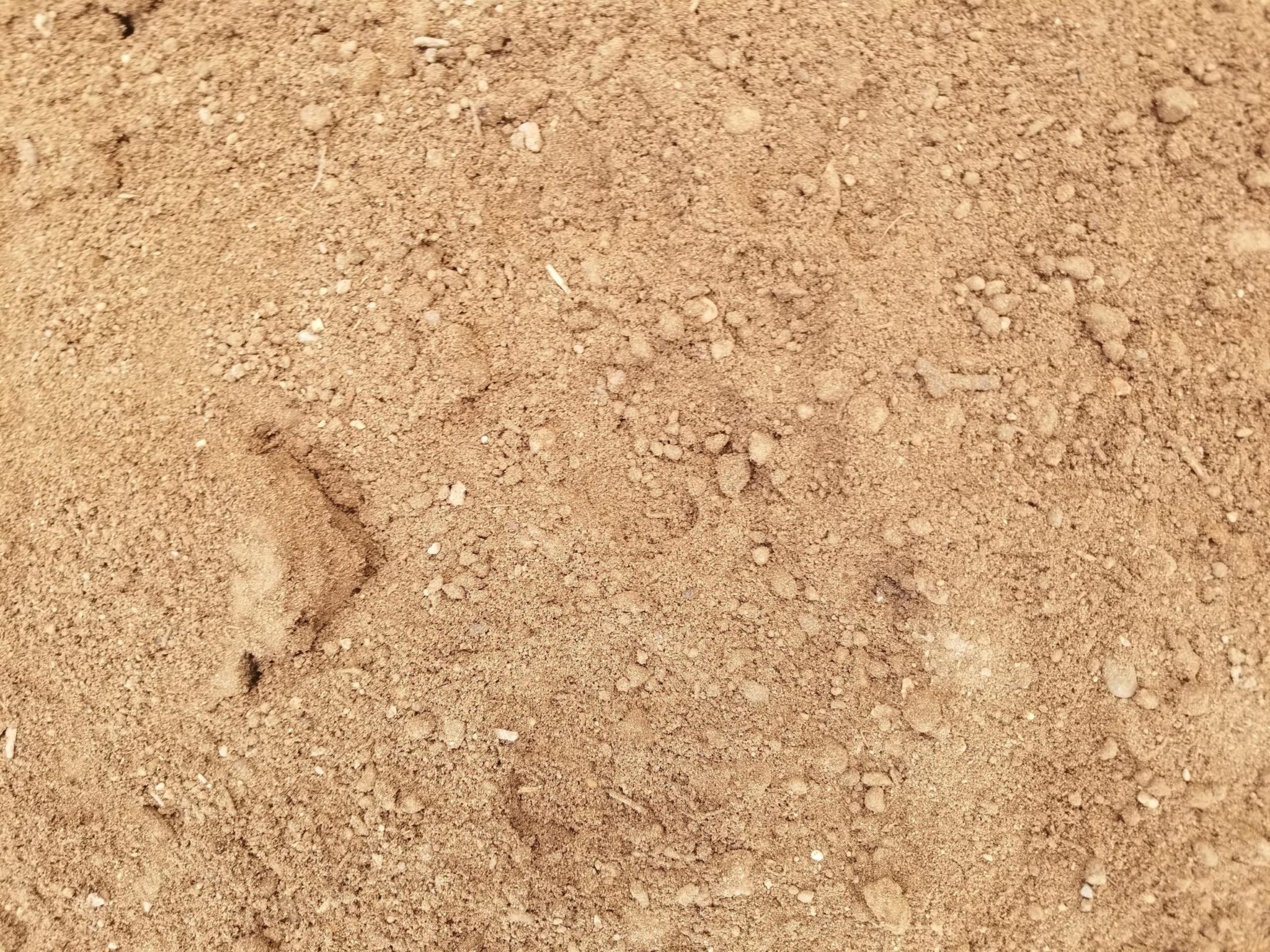 Soil, Garden Blend 49.00 A+ Garden Center Duluth, Minnesota