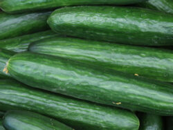 Cucumber, Straight Eight