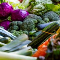 vegetable