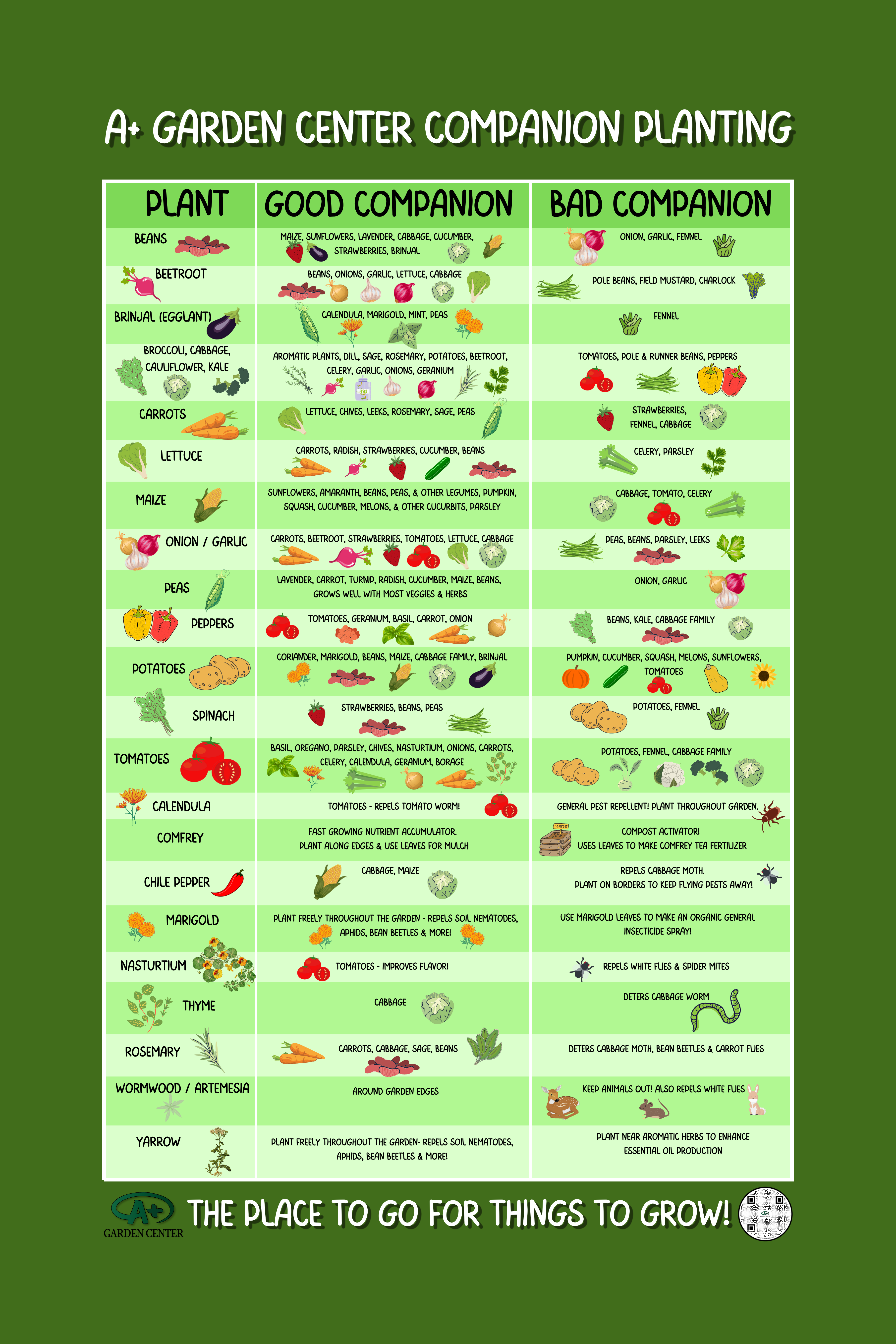 COMPANION PLANTING AND PLANT SPACING CHART - A+ Garden Center | Duluth, Minnesota | Plants, Trees, Flowers, Annuals, Perennials