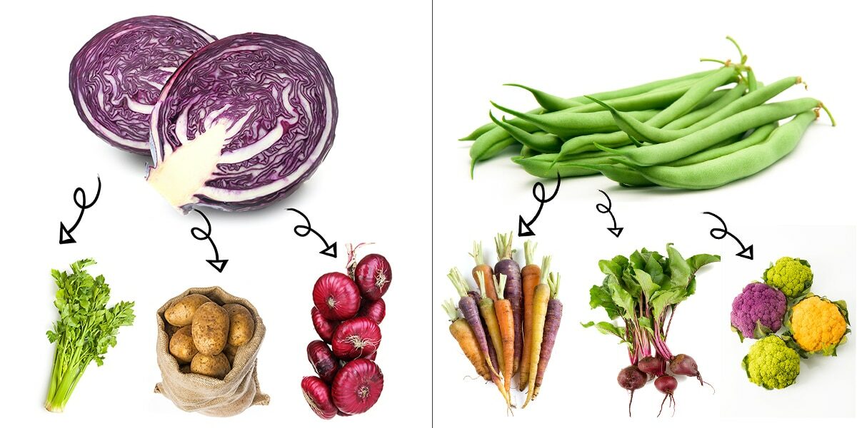 companion-planting-10