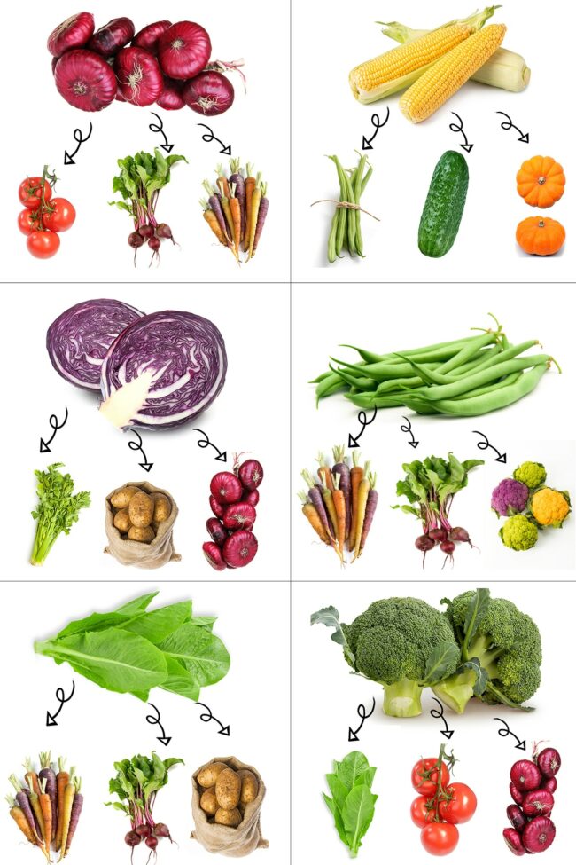 companion-planting-10