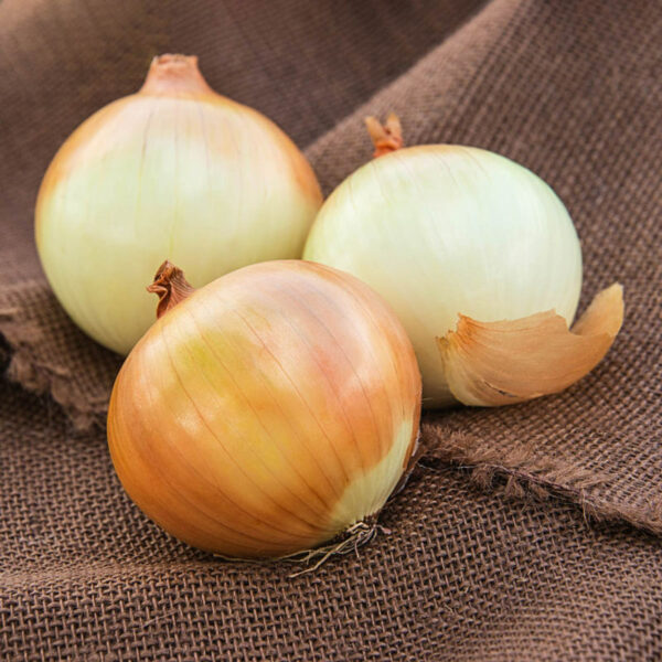 Onion, Candy