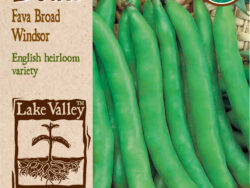 Bean, Fava Broad Windsor Organic