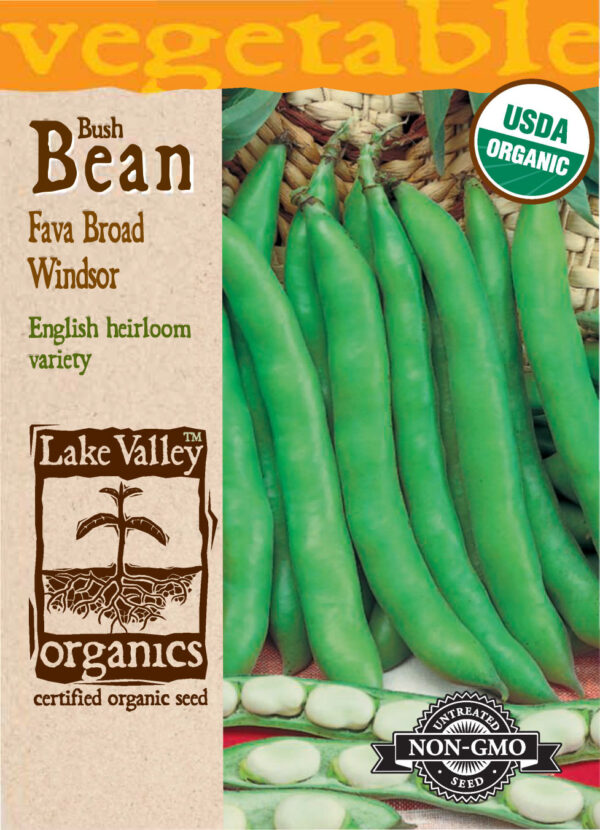 Bean, Fava Broad Windsor Organic