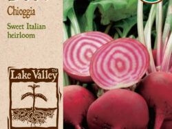 Beet, Chioggia Organic