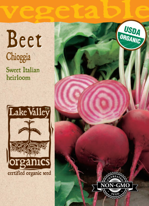 Beet, Chioggia Organic