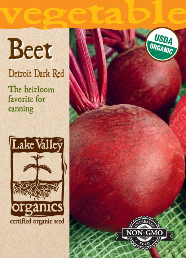 Beet, Detroit Dark Red Organic