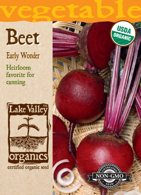 Beet, Early Wonder Organic