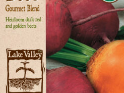 Beet, Gourmet Blend Organic