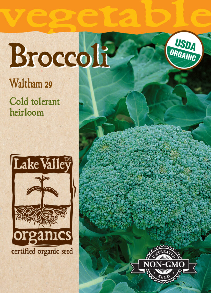 Broccoli, Waltham Organic A+ Garden Center Duluth, Minnesota