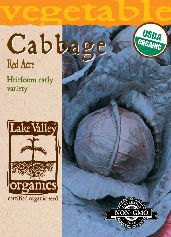 Cabbage, Red Acre Organic