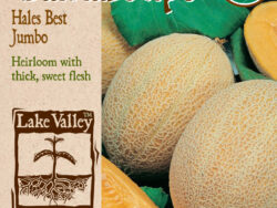 Cantaloupe, Hales Best Jumbo Organic