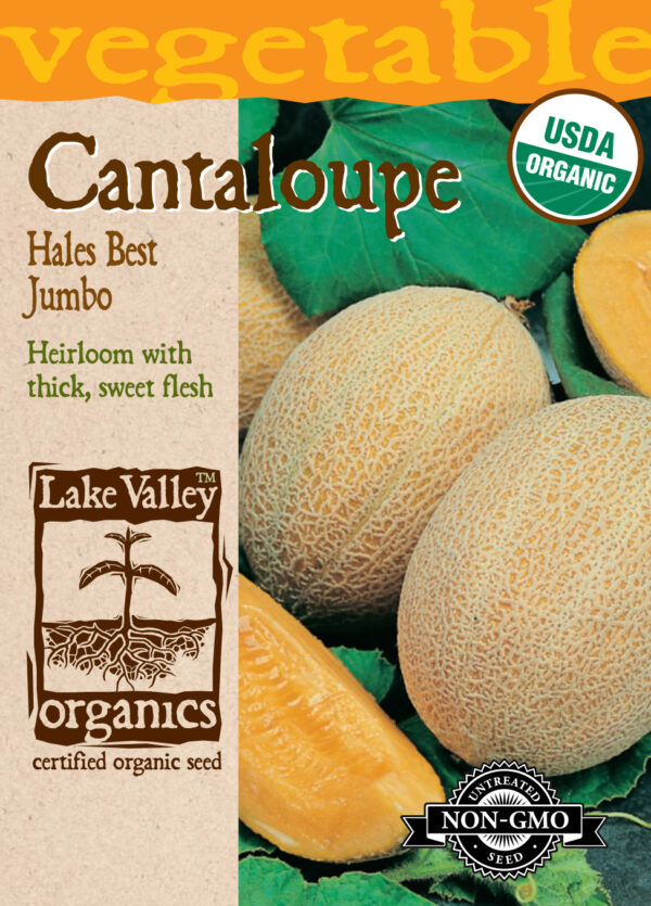 Cantaloupe, Hales Best Jumbo Organic
