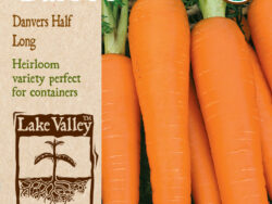 Carrot, Danvers Half Long Organic