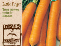 Carrot, Little Finger Organic