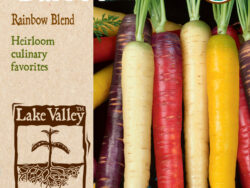 Carrot, Rainbow Blend Organic