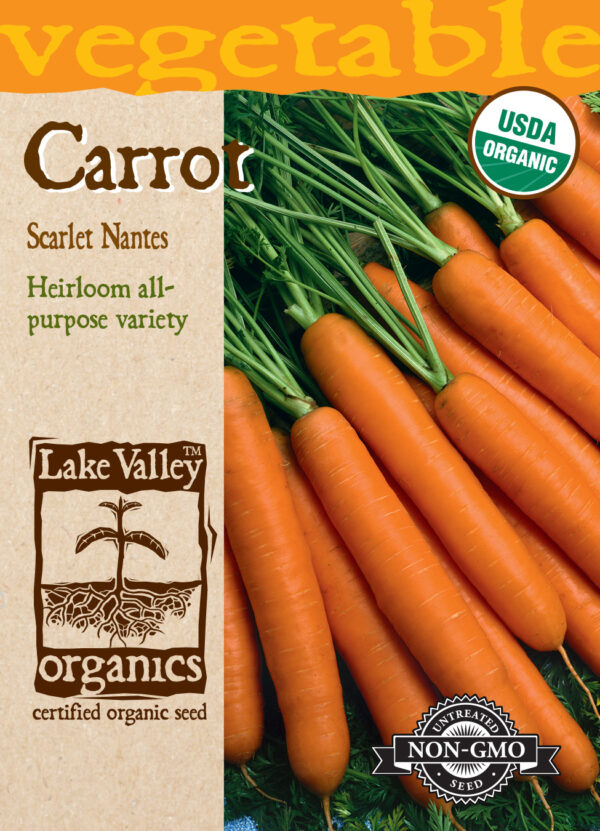 Carrot, Scarlet Nantes Organic