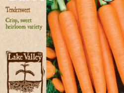Carrot, Tendersweet Organic
