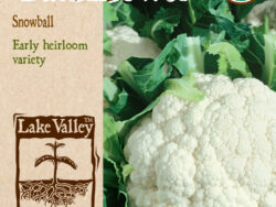 Cauliflower, Early Snowball Organic
