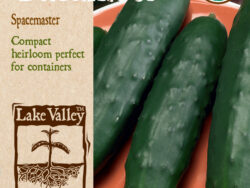 Cucumber, Spacemaster Organic