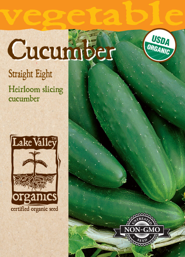Cucumber, Straight Eight Organic A+ Garden Center Duluth, Minnesota