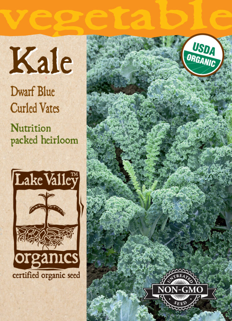 Kale Dwarf Blue Curled Vates Organic A Garden Center Duluth