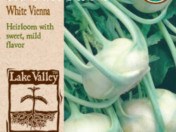 Kohlrabi, Early White Vienna Organic