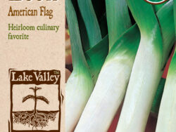 Leek, American Flag Organic